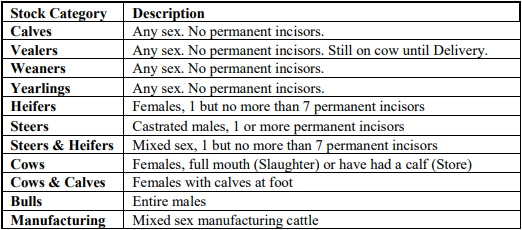 stock-categories-cattle